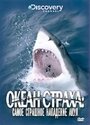Смотреть «Discovery: Океан страха. Самое страшное нападение акул» онлайн фильм в хорошем качестве