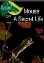 Тайная жизнь мышей (2007)