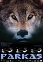 Волк (2007) кадры фильма смотреть онлайн в хорошем качестве
