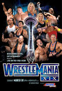 WWE РестлМания XIX (2003) скачать бесплатно в хорошем качестве без регистрации и смс 1080p