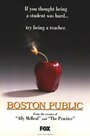 Бостонская школа (2000) скачать бесплатно в хорошем качестве без регистрации и смс 1080p