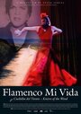 Flamenco mi vida - Knives of the wind (2007) трейлер фильма в хорошем качестве 1080p