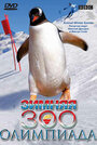 Смотреть «BBC: Зимняя Зоо олимпиада» онлайн фильм в хорошем качестве
