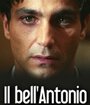 Il bell'Antonio (2005)