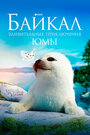 Байкал. Удивительные приключения Юмы (2020) (2020) кадры фильма смотреть онлайн в хорошем качестве