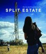 Split Estate (2009) скачать бесплатно в хорошем качестве без регистрации и смс 1080p