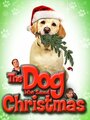 Смотреть «Собака, спасшая Рождество» онлайн фильм в хорошем качестве