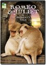 Смотреть «Romeo & Juliet: A Monkey's Tale» онлайн фильм в хорошем качестве