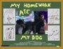Смотреть «My Homework Ate My Dog» онлайн фильм в хорошем качестве