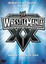 WWE РестлМания 20 (2004) скачать бесплатно в хорошем качестве без регистрации и смс 1080p