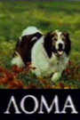 Лома (1986) скачать бесплатно в хорошем качестве без регистрации и смс 1080p