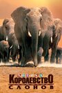 Discovery. Африка – королевство слонов (1998)