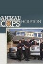 Полиция Хьюстона: Отдел по защите животных (2003) трейлер фильма в хорошем качестве 1080p