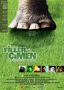 Слон и трава (2001) кадры фильма смотреть онлайн в хорошем качестве