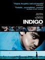 Индиго (2010)