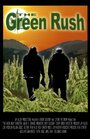 The Green Rush (2008) кадры фильма смотреть онлайн в хорошем качестве