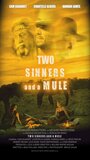 Смотреть «Две грешницы и мул» онлайн фильм в хорошем качестве