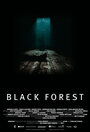 Смотреть «Темный лес» онлайн фильм в хорошем качестве