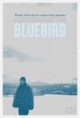 Синяя птица (2013) кадры фильма смотреть онлайн в хорошем качестве