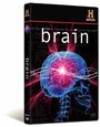 The Brain (2008)