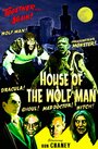 Дом Человека-Волка (2009) скачать бесплатно в хорошем качестве без регистрации и смс 1080p