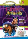 Самые забавные животные планеты (1999) трейлер фильма в хорошем качестве 1080p