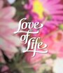 Смотреть «Любовь к жизни» онлайн сериал в хорошем качестве