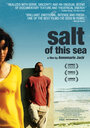 Соль этого моря (2008) кадры фильма смотреть онлайн в хорошем качестве