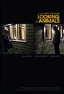 Looking at Animals (2009)