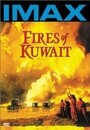 Огни Кувейта (1992) кадры фильма смотреть онлайн в хорошем качестве