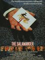 Смотреть «Саламандра» онлайн фильм в хорошем качестве