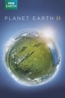 Планета Земля 2 (2016) трейлер фильма в хорошем качестве 1080p