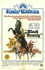 Черный красавчик (1971) трейлер фильма в хорошем качестве 1080p
