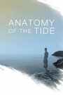 Смотреть «Анатомия прилива» онлайн фильм в хорошем качестве