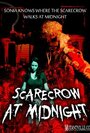 Scarecrow at Midnight (2011) кадры фильма смотреть онлайн в хорошем качестве