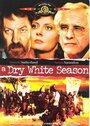 Сухой белый сезон (1989) кадры фильма смотреть онлайн в хорошем качестве