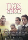 Тигры в городе (2012) кадры фильма смотреть онлайн в хорошем качестве