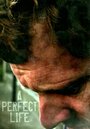 A Perfect Life (2011) трейлер фильма в хорошем качестве 1080p