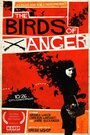 Смотреть «The Birds of Anger» онлайн фильм в хорошем качестве