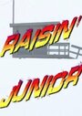 Raisin' Junior Baywatch: Tiger Woods vs. Dale Jr (2011)
