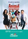 Ветеринарная клиника (2012) кадры фильма смотреть онлайн в хорошем качестве