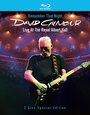 Смотреть «David Gilmour Remember That Night» онлайн в хорошем качестве