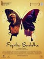 Смотреть «Бабочка-Будда» онлайн фильм в хорошем качестве