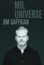 Джим Гэффиган: Мистер Вселенная (2012) скачать бесплатно в хорошем качестве без регистрации и смс 1080p