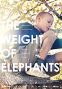 Вес слонов (2013) кадры фильма смотреть онлайн в хорошем качестве