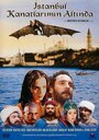 Смотреть «Стамбул под крыльями» онлайн фильм в хорошем качестве