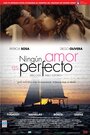 Нет идеальной любви (2010)