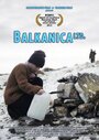 Balkanica LTD (2013)