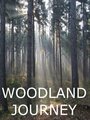 Woodland Journey (2011)