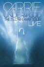 Смотреть «Carrie Underwood: The Blown Away Tour Live» онлайн фильм в хорошем качестве
